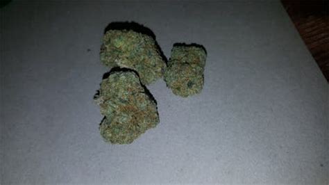 versace weed leafly|Versace Weed Strain Information .